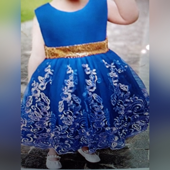 Infant pageant smash cake party tuti embroidered sequin removable bow lace dress - Picture 2 of 11